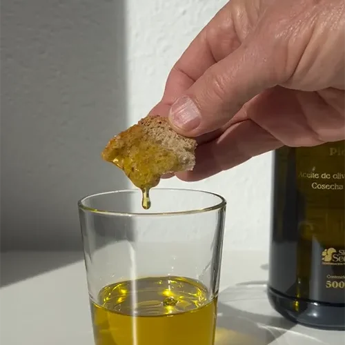 variedad-picual-aove-batan variedad picual aove batan